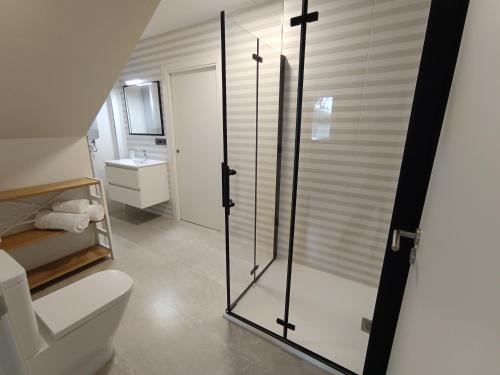 a bathroom with a toilet and a glass shower stall at Casa Ponteverde in Coristanco