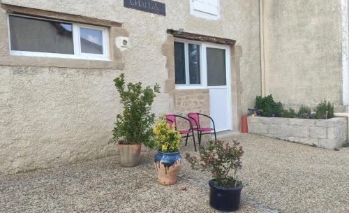 deux usines en pot installées devant un bâtiment dans l'établissement Gîte au calme avec balnéo privée, à Balansun