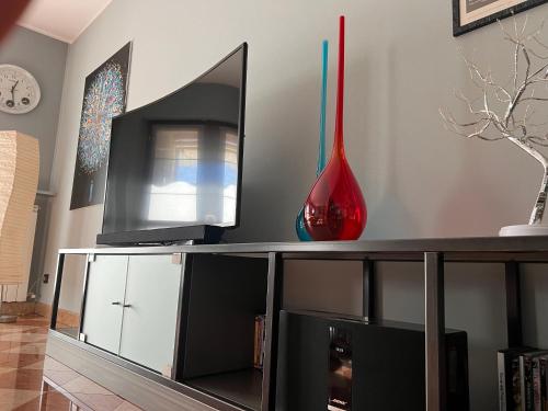 a television and a vase on top of a shelf at Sweet Home Apartment in Cavaion Veronese