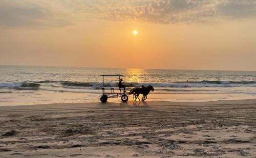 a man riding a horse drawn carriage on the beach at La Vida Villa in Bārsiv
