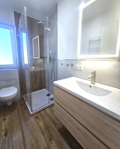 a bathroom with a shower and a sink and a toilet at Ferienwohnung Gipfelstürmer in Blaichach