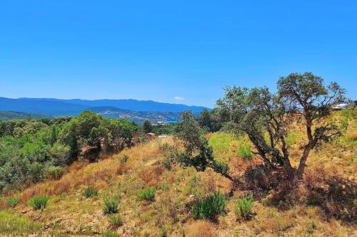 Une colline avec un arbre au sommet dans l'établissement Amalia - Sea view terrace Wifi Parking - by TGB, à Porticcio