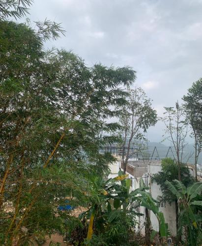 a view of the ocean from behind some trees at Broad view in Ella
