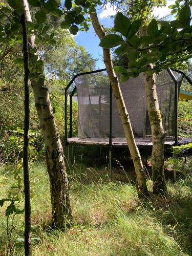 Taman di luar Swedish-Inspired Home In Odden's Forest