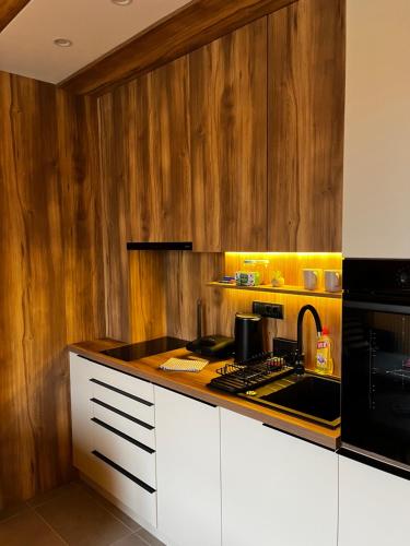 Küche/Küchenzeile in der Unterkunft Šumska staza Divčibare apartmani