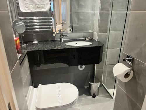 a small bathroom with a toilet and a sink at Staunton Hotel - B&B in London