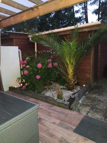 Afbeelding uit fotogalerij van maison lacanau in Lacanau