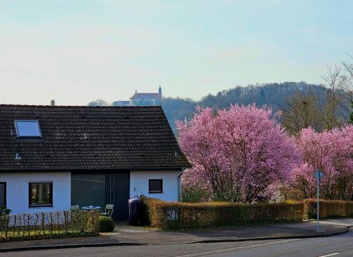 a white house with pink trees in the background at Quartier 2 in Fulda