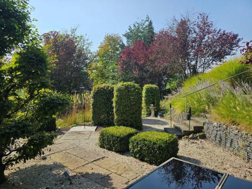 a garden with hedges and a pond in a yard at Quartier 2 in Fulda