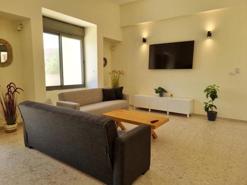 a living room with two couches and a flat screen tv at A villa in the desert in Midreshet Ben Gurion