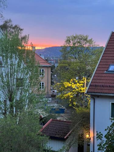 - une vue sur une ville avec des maisons et des arbres dans l'établissement Cosy Room 10M to Oslo S ONLY WOMEN, à Oslo