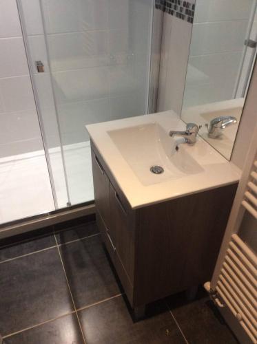 une salle de bain avec un lavabo et une douche dans l'établissement One bedroom in a shared appartement with mountain view, à Grenoble