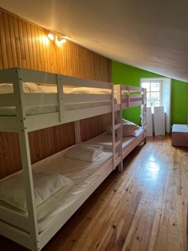 deux lits superposés dans une chambre aux murs verts dans l'établissement La maison perchée, au Puy-en-Velay