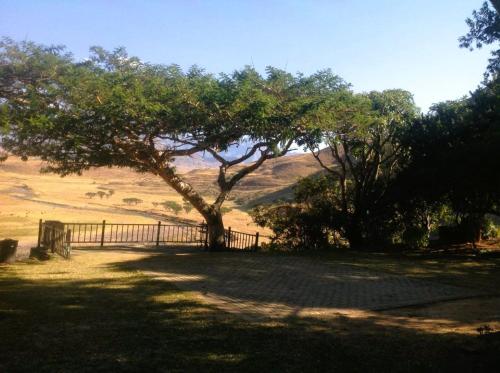 a tree in the middle of a field with a fence at Hlalanathi Drakensberg Resort in Bergville