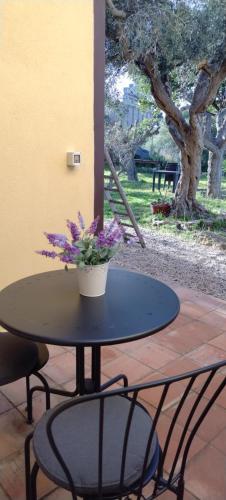 Κήπος έξω από το Bouganville in Villa Greco