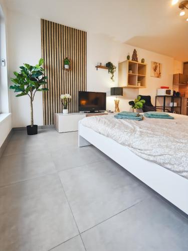 a bedroom with a large bed and a tv at Le Petit Eden - Bâle - Aéroport in Saint-Louis