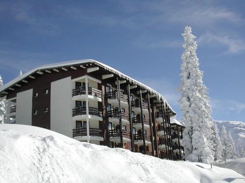 un grand bâtiment dans la neige avec un arbre dans l'établissement Studio mezzanine cosy, 4/5 pers, à 80m des pistes, balcon, TV/DVD, kichenette équipée - FR-1-398-553, à La Rosière