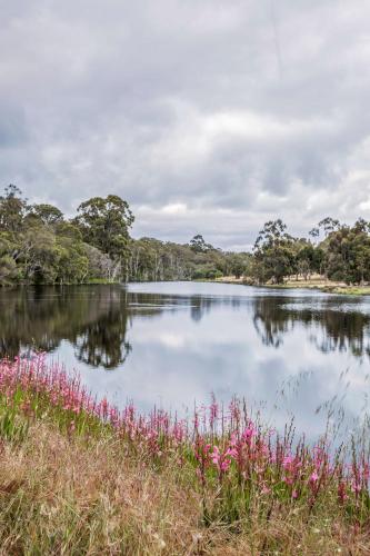 a lake in the middle of a field with pink flowers at Little Fish - Luxury Retreat in Yallingup in Yallingup