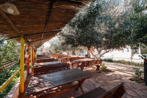 a row of wooden tables and benches under a roof at Lider Hotel in Ksamil