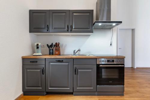a kitchen with gray cabinets and a sink and a stove at White House Apartments in Kappel-Grafenhausen