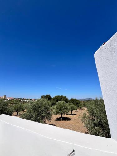 a view of the desert from the roof of a building at Casa Alentejana - Casa Olival in Nisa