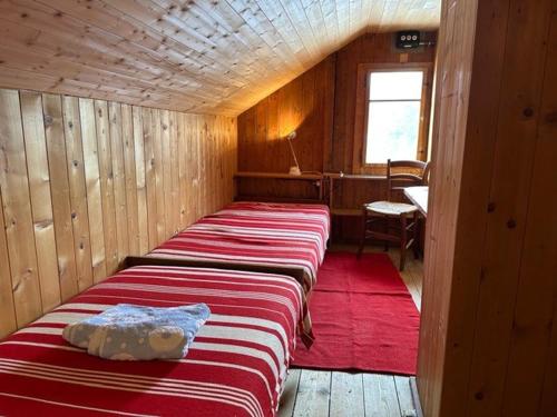 a row of beds in a wooden room at Bed & Breakfast Cari a bordo pista in Molare