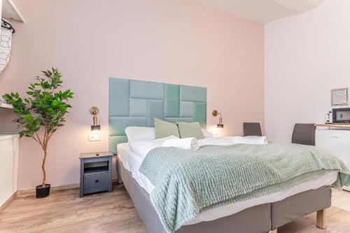 Queen Bed Central Barrier-free Studio With Kitchen