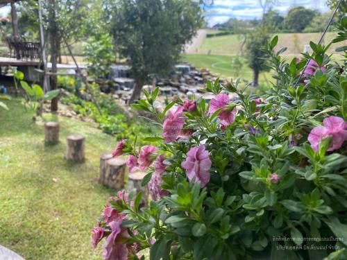 a bush with pink flowers in a garden at Luxury Treehouse Khaoyai in Ban Nong Makha