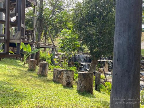 a group of tree stumps in front of a waterfall at Luxury Treehouse Khaoyai in Ban Nong Makha