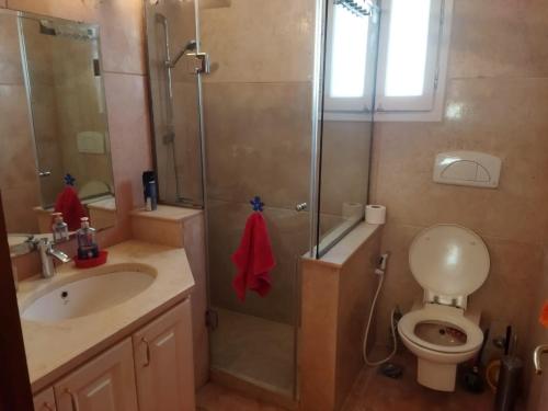 a bathroom with a shower and a toilet and a sink at Down-Town Kafr El Gouna 1-Bd Ground Floor in Hurghada