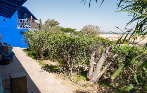 a path next to a beach with trees and a blue building at Dakhla Attitude in Dakhla