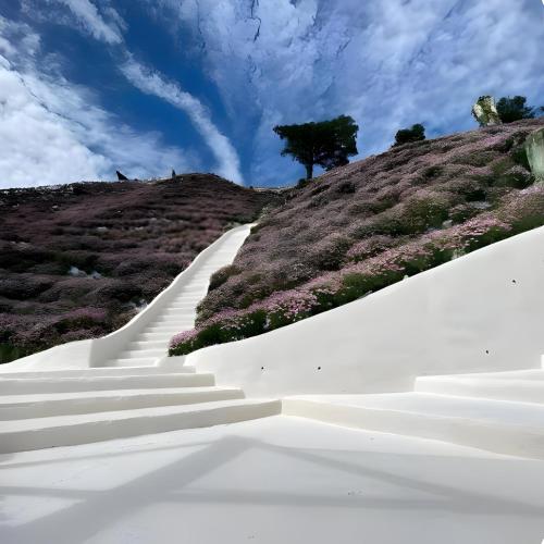 a set of white stairs on a hill with a tree at Serene Minimalist Family Retreat 2-7pax &Sunrise View in Brinchang