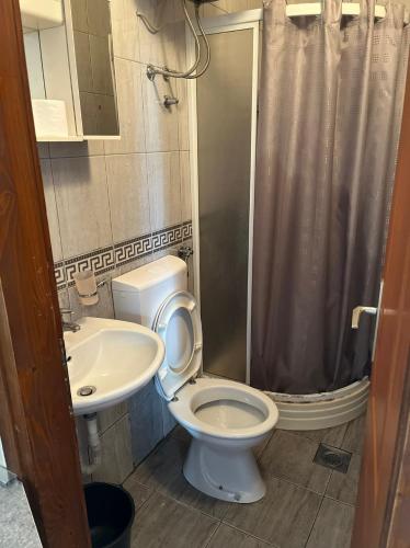 a bathroom with a toilet and a sink and a shower at Apartmani Kojovic in Igalo