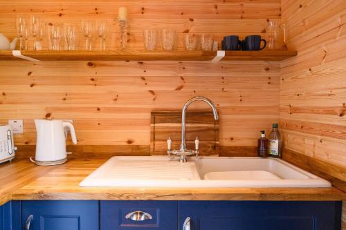 a kitchen with a sink and a wooden wall at Ivy in Whithorn