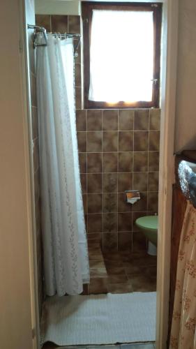 a bathroom with a shower curtain and a window at Casa San Cristoforo Atelier in Maggia