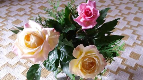 a vase filled with pink roses on a table at Casa San Cristoforo Atelier in Maggia