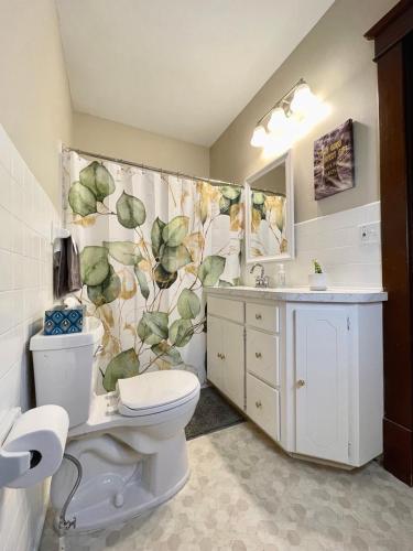a bathroom with a toilet and a sink at Charming Centrally Located Duplex with Parking in Minneapolis