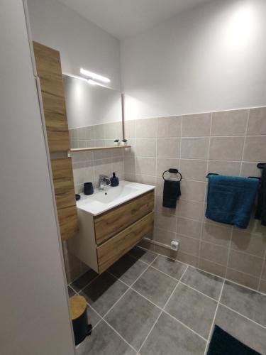 une salle de bain avec un lavabo et un miroir dans l'établissement Le Kaki végétal, à Montluçon