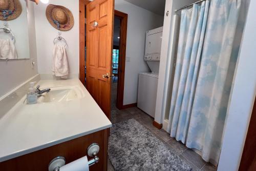 a bathroom with a sink and a shower at Moose & Red Fox Retreat in Denmark