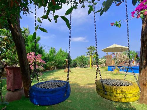 two swings chained to a tree in a yard at Homestay Mộc Hoa Viên in Bao Loc