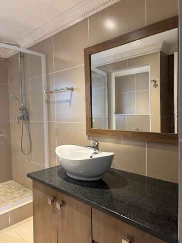 a bathroom with a sink and a mirror and a shower at Aspire on Meier in East London