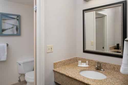 a bathroom with a sink and a toilet and a mirror at Courtyard Chicago Wood Dale / Itasca in Wood Dale