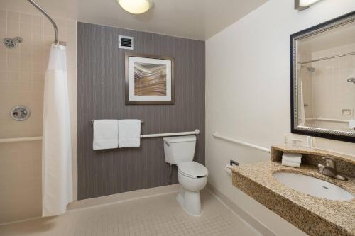a bathroom with a toilet and a sink at Courtyard Chicago Wood Dale / Itasca in Wood Dale