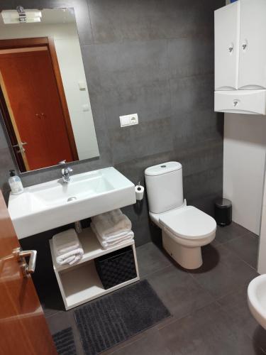 a bathroom with a sink and a toilet and a mirror at Teruel 380 in Teruel