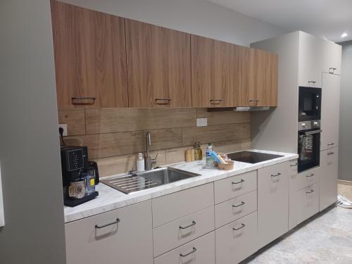 Kuchyň nebo kuchyňský kout v ubytování Appartement jardin 01
