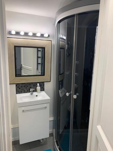 une salle de bain avec une douche, un lavabo et un miroir dans l'établissement Studio cœur de ville, au Mans