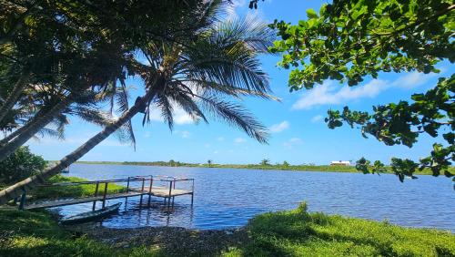 a dock in the middle of a lake with a palm tree at Vila Axé Flat 01 Riviera in Prado