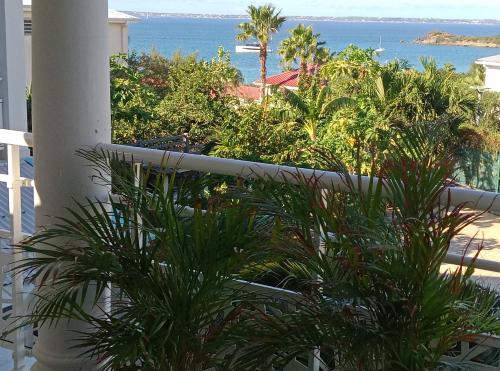 a view of the ocean from a balcony with plants at Chambre d'hôte friar's bay in Friar's Bay
