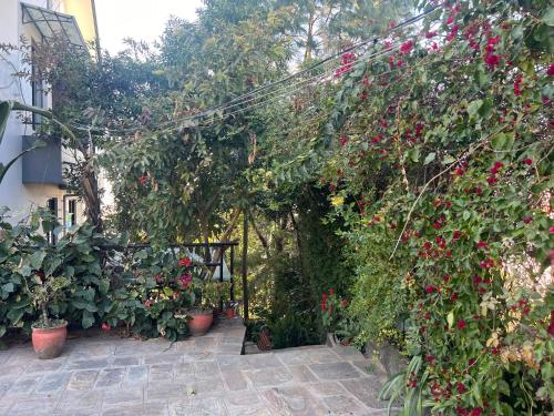 a garden with flowers and plants on a building at Avocado Accommodations in Khadkagaon