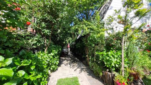 a garden path with plants and a fence at Casa Villa Amanecer in Villarrica